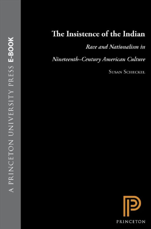 The Insistence Of The Indian: Race and Nationalism in Nineteenth-century American Culture by Susan Scheckel
