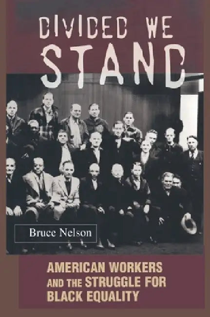Divided We Stand: American Workers and the Struggle for Black Equality by Bruce Nelson