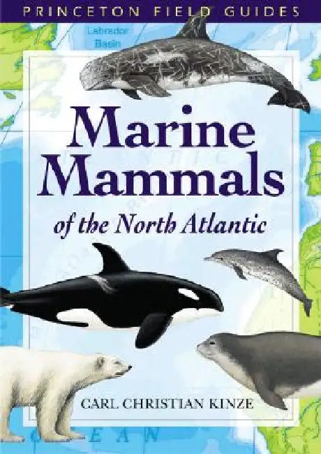 Marine Mammals of the North Atlantic by Carl Christian Kinze