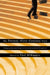 The Twenty-First-Century Firm: Changing Economic Organization in International Perspective by Paul Dimaggio