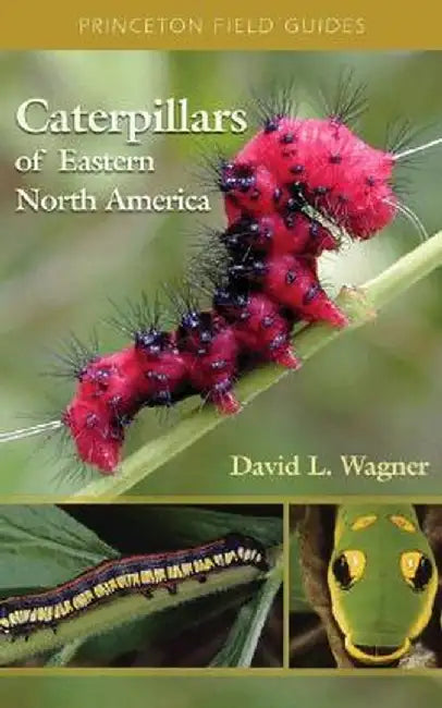Caterpillars of Eastern North America: A Guide to Identification and Natural History by David L. Wagner