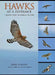 Hawks at a Distance: Identification of Migrant Raptors by Jerry Liguori