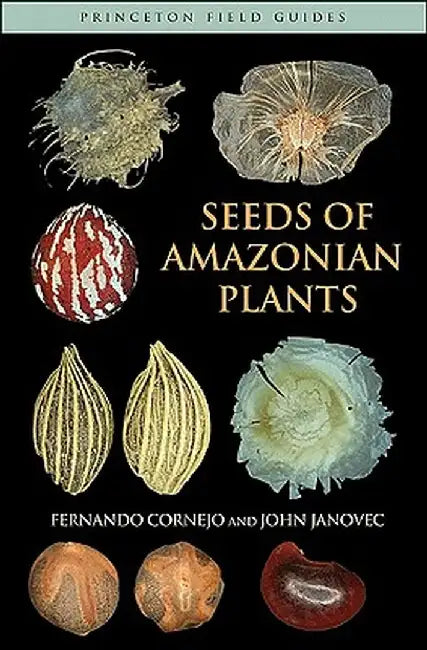Seeds of Amazonian Plants by Fernando Cornejo