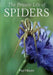 The Private Life of Spiders by Paul Hillyard