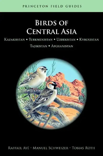 Birds of Central Asia by Raffael Ayé