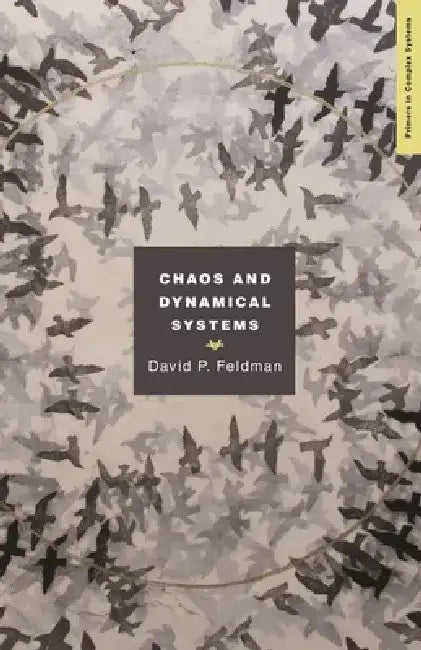 Chaos and Dynamical Systems: Lessons for Complex Systems by David Feldman