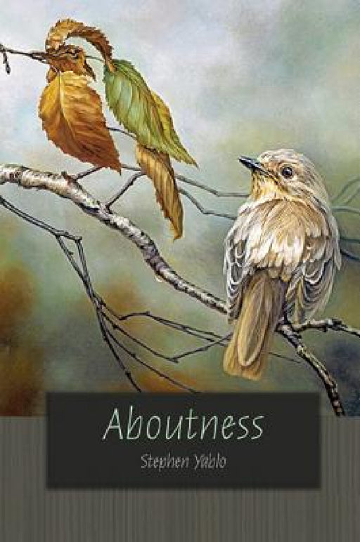 Aboutness by Stephen Yablo