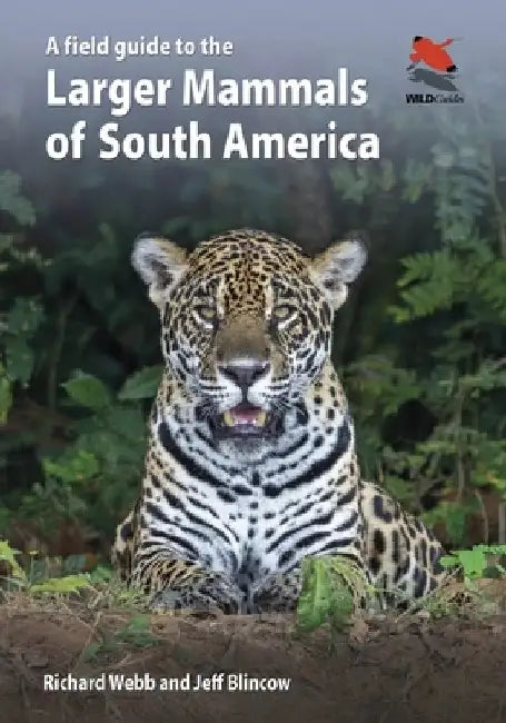A Field Guide to the Larger Mammals of South America by Richard Webb