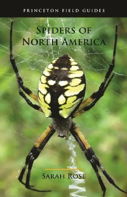 Spiders of North America by Sarah Rose
