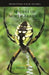Spiders of North America by Sarah Rose