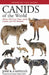 Canids of the World: Wolves, Wild Dogs, Foxes, Jackals, Coyotes, and Their Relatives by Jose R. Castello