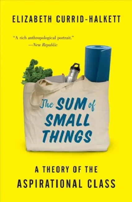 The Sum of Small Things: A Theory of the Aspirational Class by Elizabeth Currid-Halkett