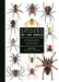 Spiders of the World: A Guide to Every Family by Norman I. Platnick