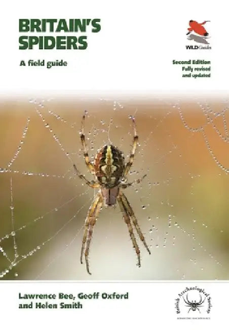 Britain's Spiders: A Field Guide - Fully Revised and Updated Second Edition by Lawrence Bee
