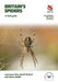 Britain's Spiders: A Field Guide - Fully Revised and Updated Second Edition by Lawrence Bee