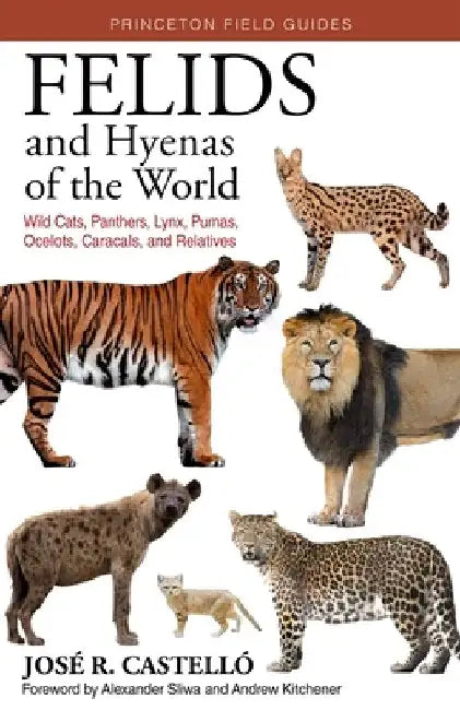 Felids and Hyenas of the World: Wild Cats, Panthers, Lynx, Pumas, Ocelots, Caracals, and Relatives by José R. Castelló