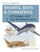 Field Guide to Sharks, Rays & Chimaeras of Europe and the Mediterranean by David A. Ebert