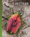 The Lives of Beetles: A Natural History of Coleoptera by Arthur V. Evans