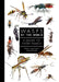 Wasps of the World: A Guide to Every Family by Simon Van Noort