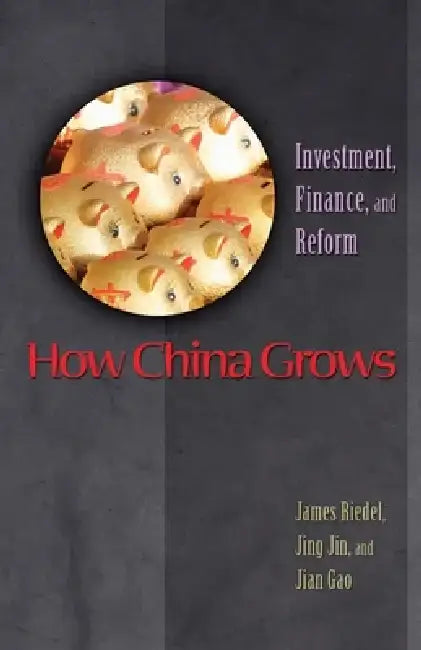 How China Grows: Investment, Finance, and Reform by James Riedel