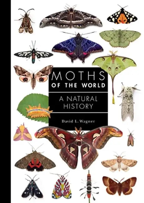 Moths of the World: A Natural History by David Wagner