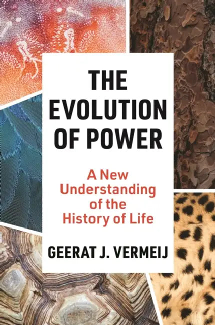 The Evolution of Power: A New Understanding of the History of Life by Geerat Vermeij