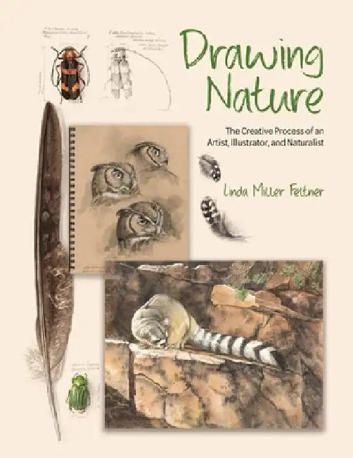 Drawing Nature: The Creative Process of an Artist, Illustrator, and Naturalist by Linda M. Feltner