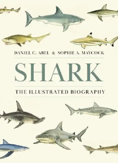 Shark: The Illustrated Biography by Daniel Abel