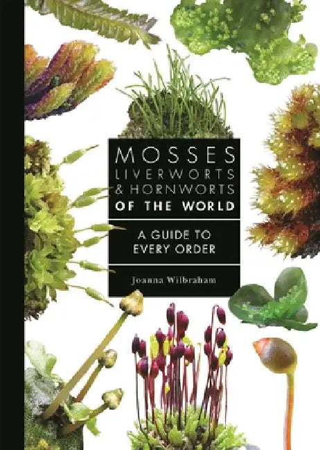 Mosses, Liverworts, and Hornworts of the World: A Guide to Every Order by Wilbraham, Joanna