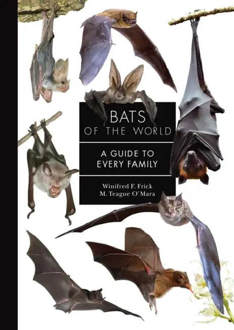Bats of the World: A Guide to Every Family by Winifred Frick, M. Teague O'Mara
