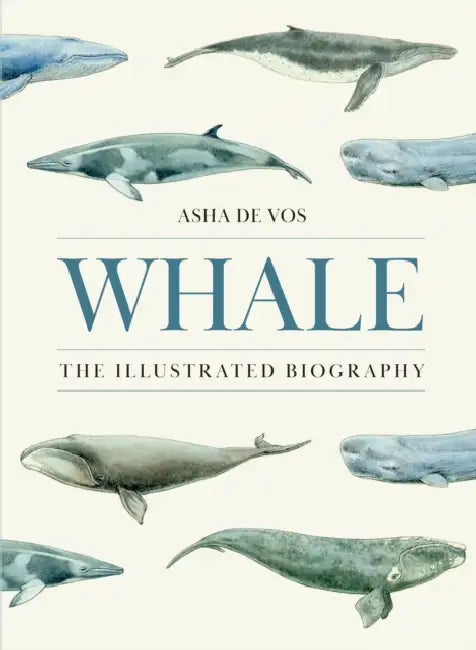 Whale: The Illustrated Biography by Asha de Vos, Adam Hook