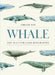 Whale: The Illustrated Biography by Asha de Vos, Adam Hook