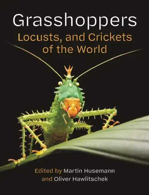 Grasshoppers, Locusts, and Crickets of the World by Martin Husemann, Oliver Hawlitschek