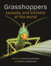 Grasshoppers, Locusts, and Crickets of the World by Martin Husemann, Oliver Hawlitschek