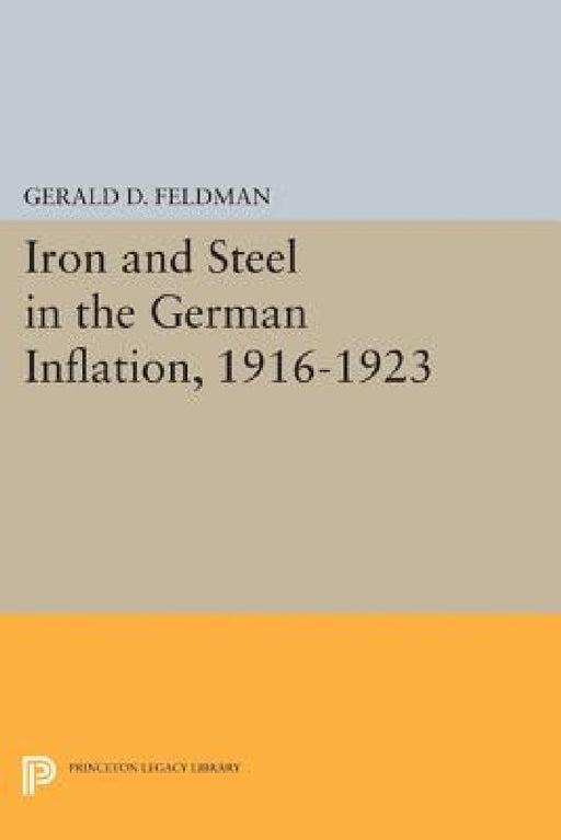 Iron and Steel in the German Inflation, 1916-1923 by Gerald D. Feldman