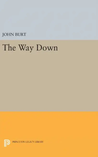 The Way Down by John Burt