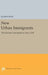 New Urban Immigrants: The Korean Community in New York by Illsoo Kim