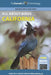 All about Birds: California by Cornell Lab of Ornithology