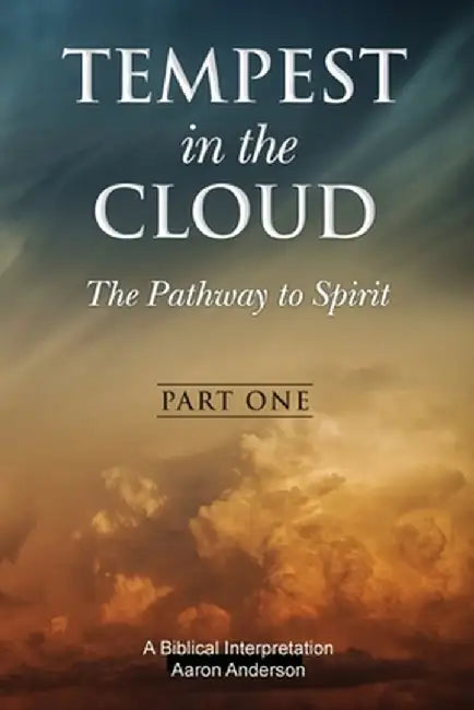 Tempest in the Cloud: The Pathway to Spirit by Kim B. Andrews