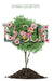 Bloom by Shaida Escoffery