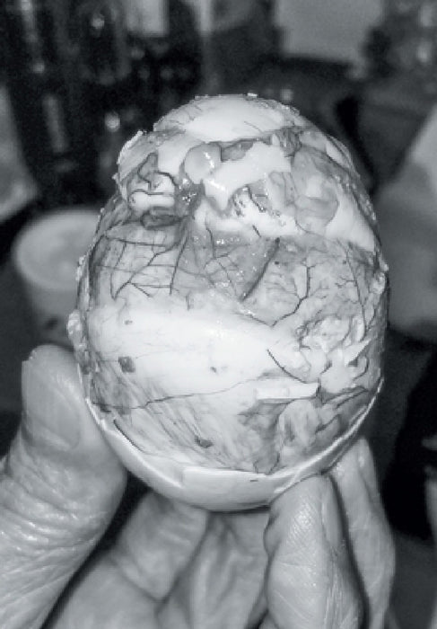 Chrysalis by Ray Potes