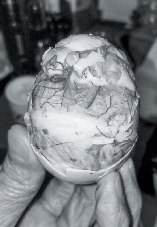 Chrysalis by Ray Potes