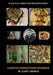 Creative Connections Cookbook by Jason Thomas