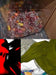 Close-Up Micro Photos and Effects - Mark Xiornik Rozen Pettinelli by Mark Rozen Pettinelli