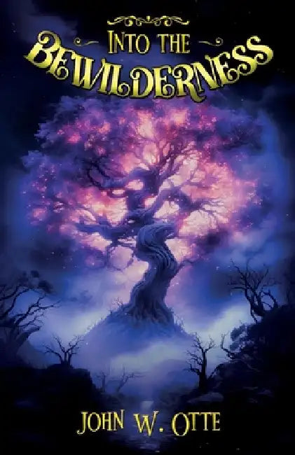 Into the Bewilderness: A Short Story Collection by John W. Otte
