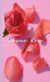 Persian Rose by Farahnaz Amirsoleymani