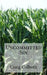 Uncommitted Sin by Craig Colboth