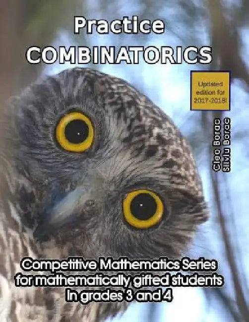 Practice Combinatorics: Level 2 (ages 9 to 11) by Silviu Borac