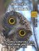 Practice Arithmetic: Level 2 (ages 9 to 11) by Silviu Borac