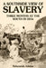 A Southside View of Slavery by Nehemiah Adams